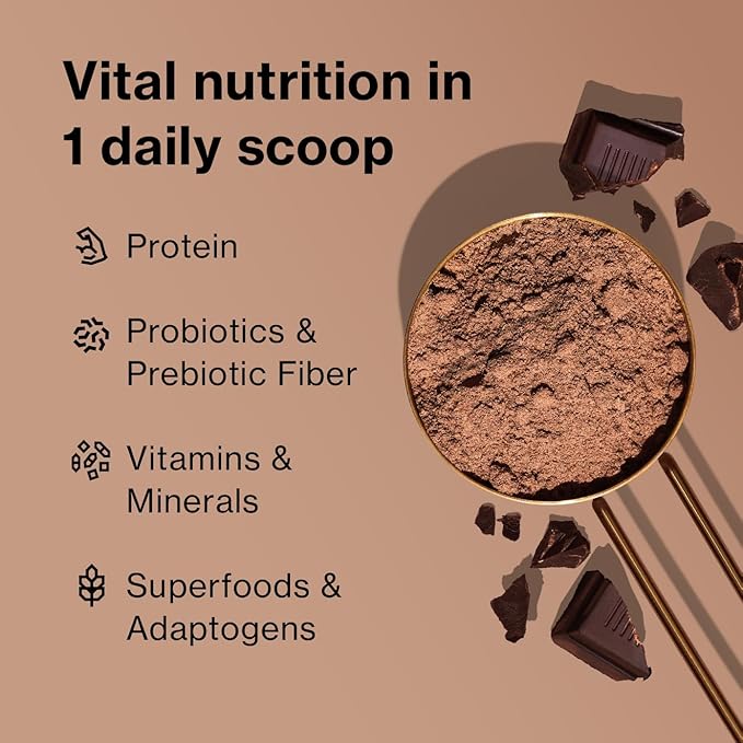BODi Shakeology Plant-Based Vegan Protein Powder – Gluten-Free Superfood Shake with Vitamins & Minerals – Helps Support Healthy Weight Loss & Gut Health, Chocolate, 14 Individual Packets