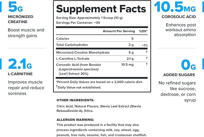 LEGION Recharge Post Workout Supplement - All Natural Muscle Builder & Recovery Drink with Micronized Creatine Monohydrate Naturally Sweetened & Flavored (Arctic Blast, 30 Servings Pack of 1)