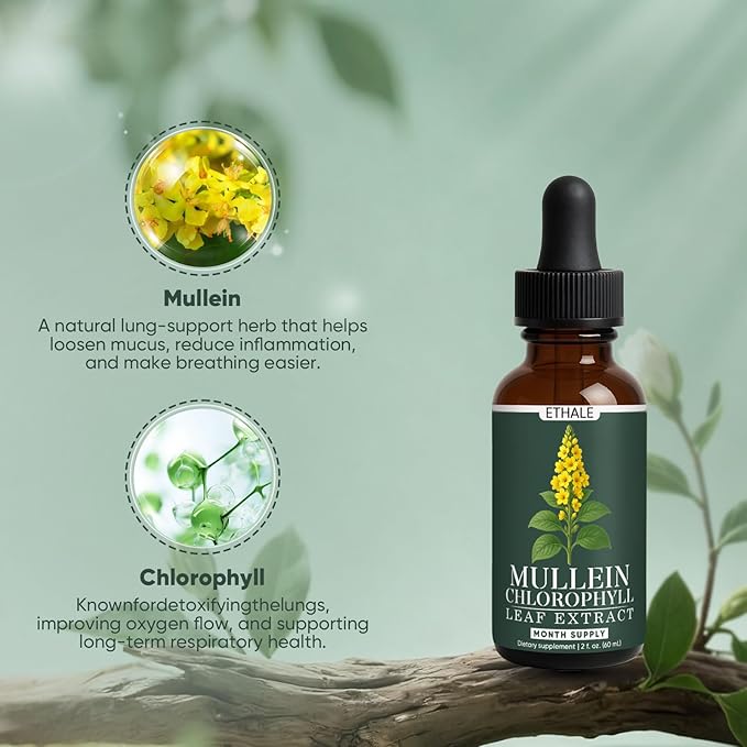 ETHALE Mullein Drops for Lungs - Mullein + Chlorophyll Lung Drops, Respiratory Support & Lung Detox Formula with Chlorophyll, Mullein Leaf Extract, 1 Month Supply