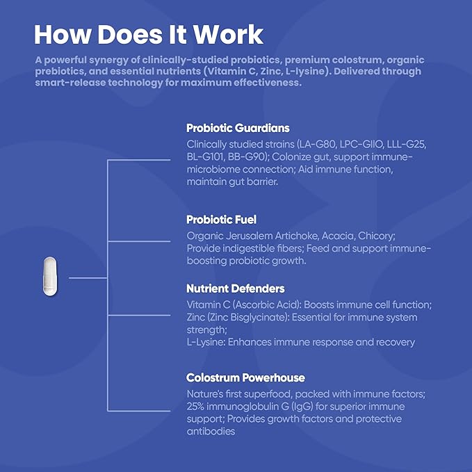 Synbiotics with Colostrum | 20 Billion CFU Probiotic + Prebiotic Fiber | Women’s Pre & Probiotics for Gut Health, Digestive Balance, Immune & Bloating Support | 60 Capsules | Lab-Tested