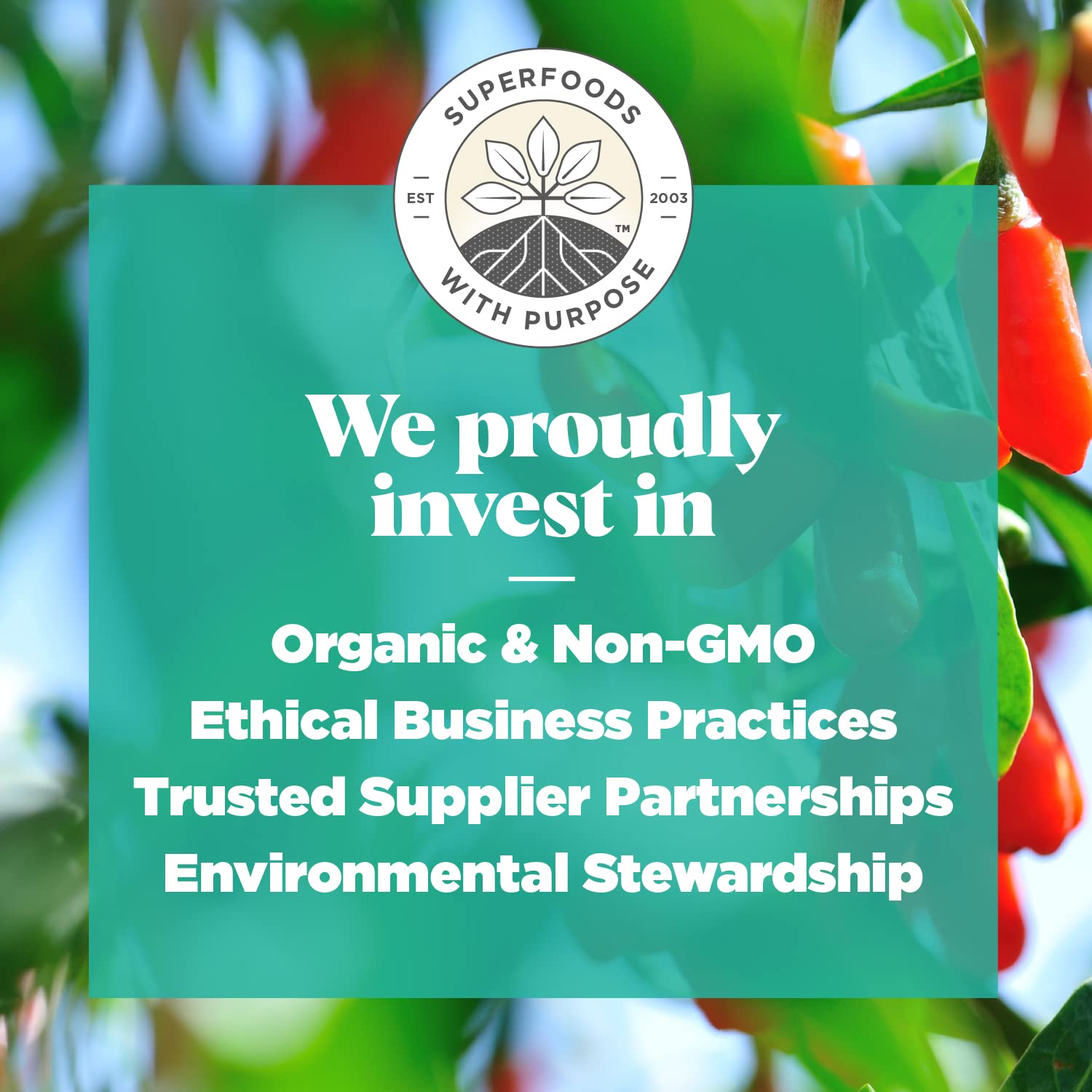 Navitas Organics Goji Berries – For Smoothies, Trail Mix, Baked Goods, Oatmeal & More – Vitamin A, Antioxidants, Fiber – Wolfberry - USDA Organic, Non GMO, Gluten Free, Vegan (8oz. Bag, 8 Servings)