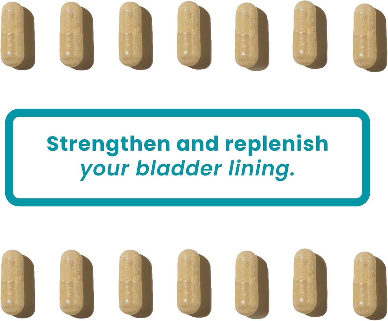 LifeSeasons Femetry Bladder Daily Comfort - Soothes Irritation - Supports Healthy Histamine Response - Promotes Bladder Lining Health - Interstitial Cystitis - 120 Capsules