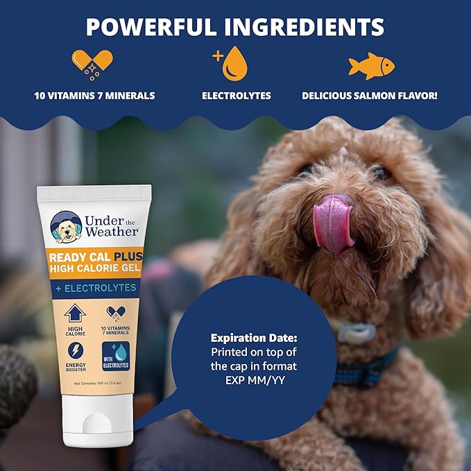 Under the Weather Pet Electrolytes Ready Cal Plus Gel for Dogs | Vet-Formulated High-Calorie Supplement for Dog & Puppy | Provides Essential Calories & Promotes Weight Gain | 3.5 Oz Tube Pack