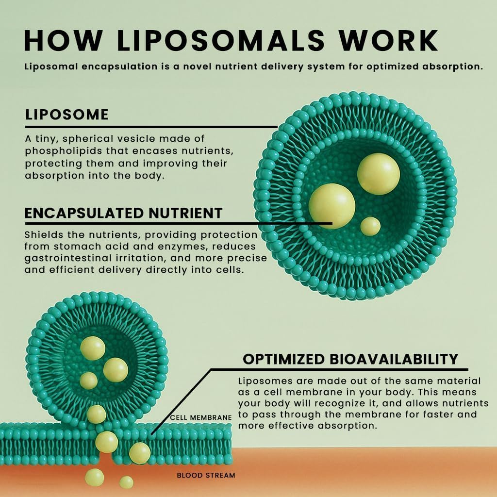 Manna Vitamins Evolved Liposomal Curcumin+ Softgels for Advanced Absorption Best Turmeric Supplement for Daily Joint & Immune Health Support - Non-GMO, 500mg Curcuminoids (60ct)
