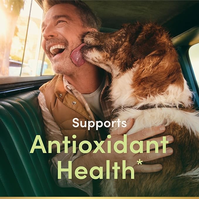 Nature's Bounty Vitamin E 1000 IU Softgels, Supports Antioxidant Health & Immune System, 1 Serving per Day, No Gluten, 60 Softgels (Pack of 1)