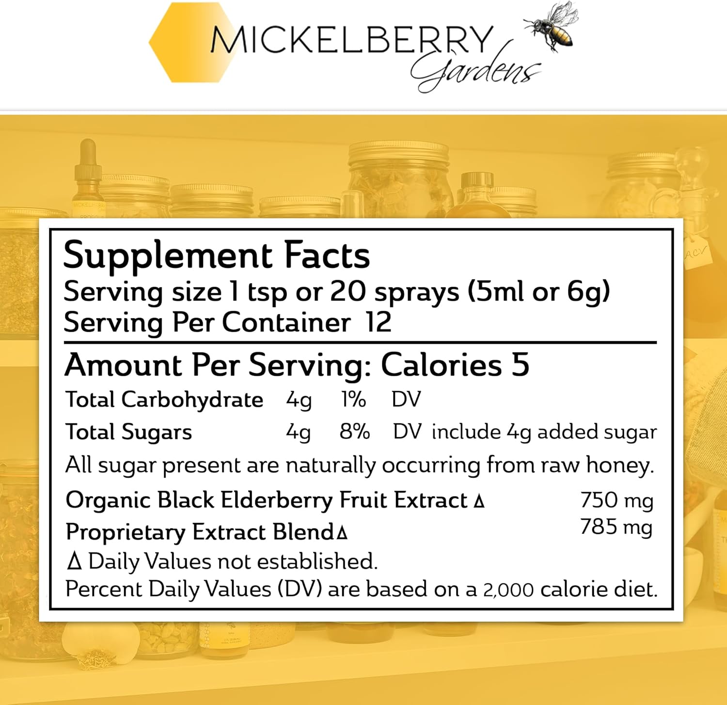 Mickelberry Gardens Elderberry Honey Tonic, Sambucus Syrup, Black Elderberry - Immune Support for Adults and Kids, 4 Ounces (Pack of 2)