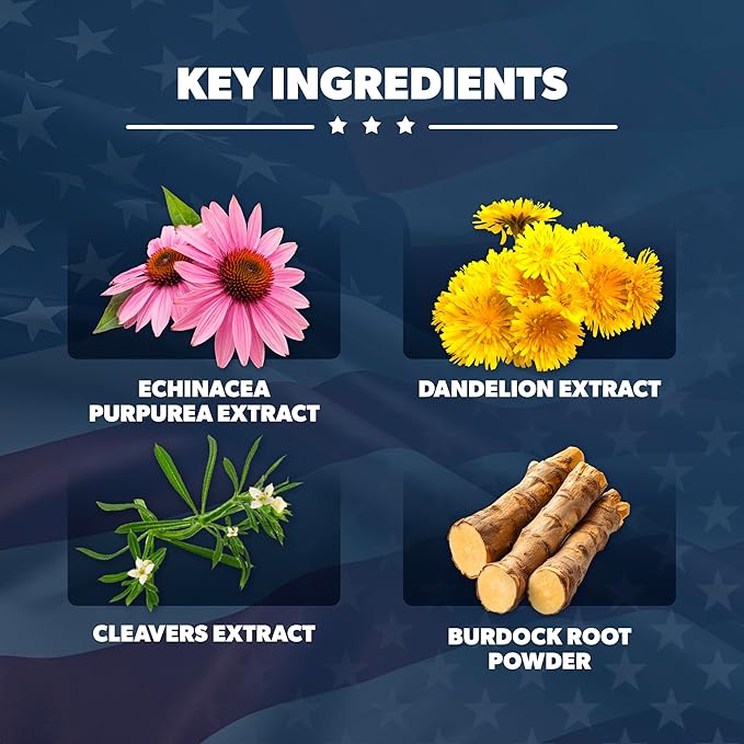 LymphaVive Lymphatic Drainage Supplements for Men & Women - Lymphatic Support with Bromelain, Echinacea, Burdock Root, Dandelion, Rutin, Kelp - 60 Capsules