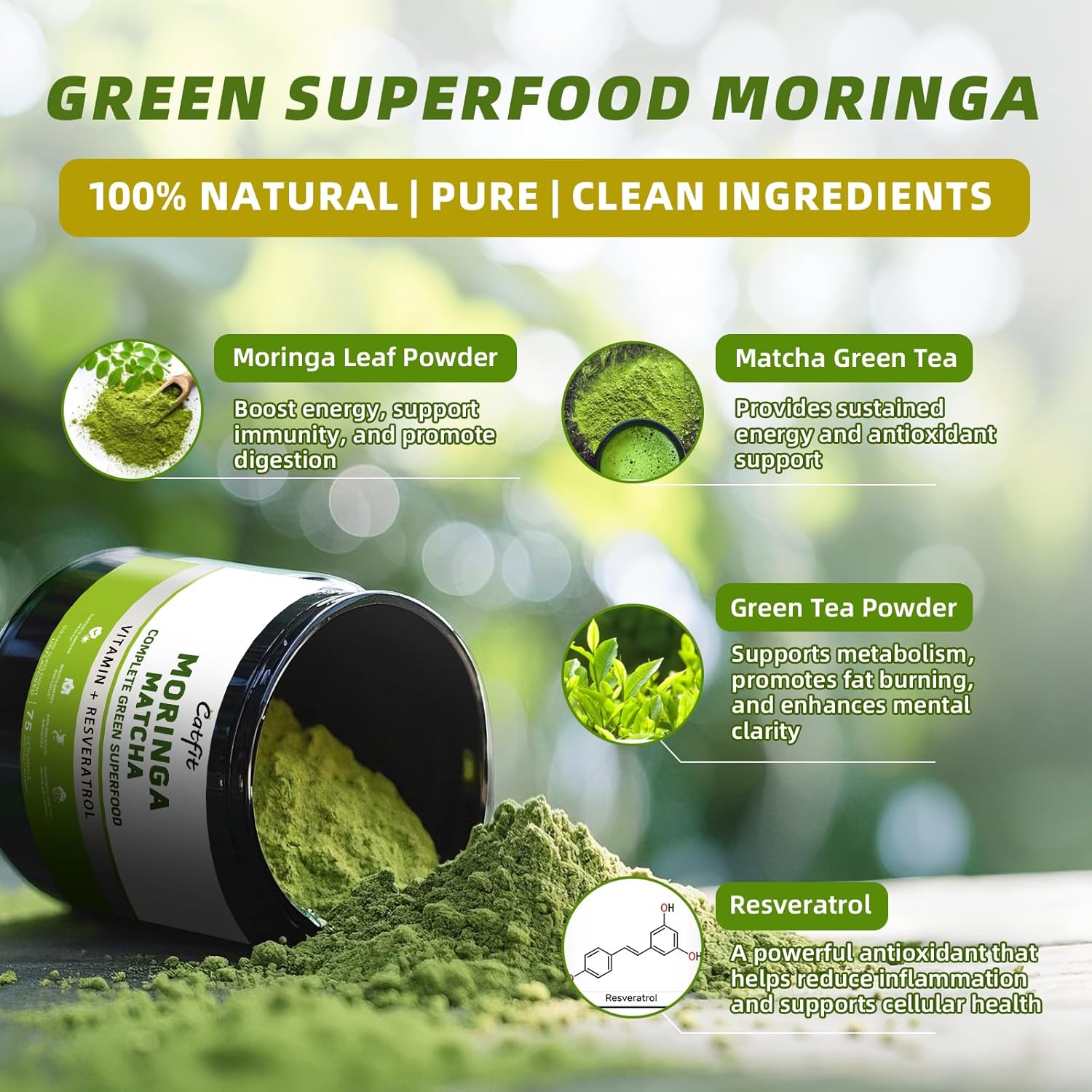 (2 Pack) Moringa Powder – Superfood Blend with Matcha, Green Tea & Resveratrol – Moringa Supplement for Energy, Antioxidant & Immune Support – Vegan, Gluten-Free, Easy-to-Mix Drink (8oz)