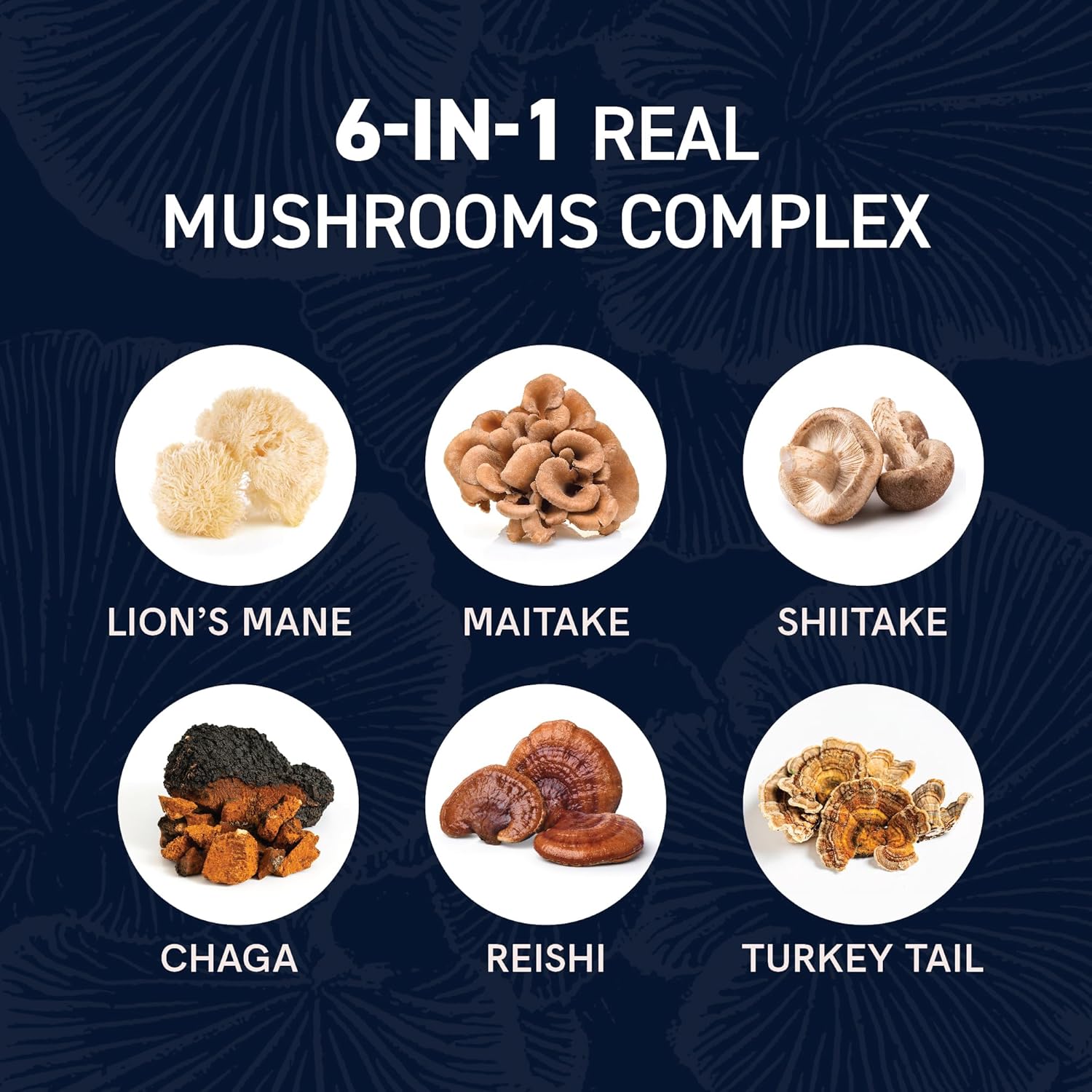 Mushrooms Liquid Drops Complex | Lions Mane Supplement with Turkey Tail Mushroom, Reishi, Shiitake & More | Support Cognitive Function, Memory & Focus | Non-GMO, Soy-Free | 2 Fl Oz, 60 Servings