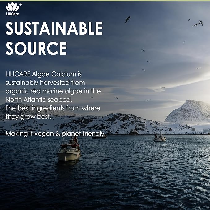 2 Pack - Plant Based Calcium Gummies 600mg with Vitamin D3 K2, Magnesium, Zinc for Bone Strength, Sugar Free Calcium Supplements for Women & Men (Certified Vegan) from Sustainably Organic Red Algae