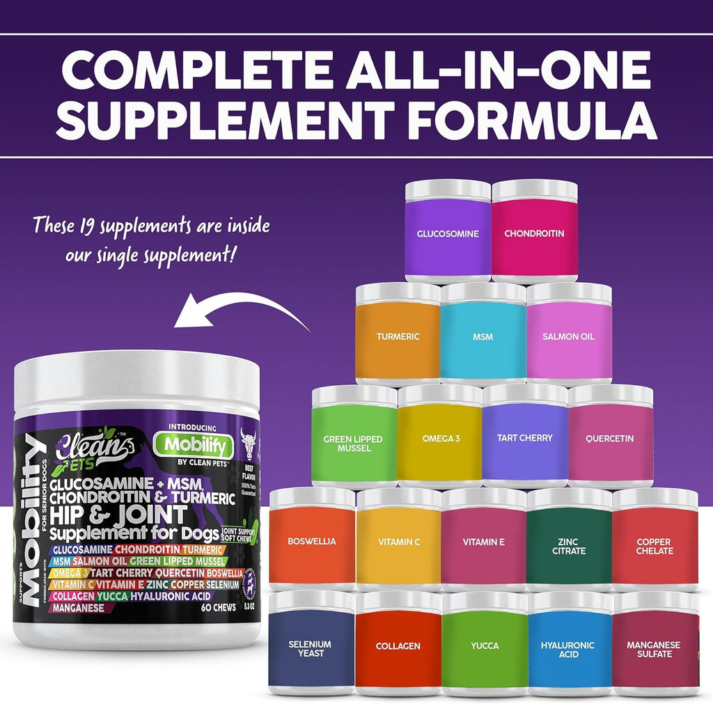 Hip and Joint Supplement Dogs with Glucosamine for Dogs + Chondroitin, Turmeric, Hyaluronic Acid, MSM, Salmon Oil, Collagen, Vitamin C, Omega 3 Senior Dog Supplements Beef Flavor - 1Pack