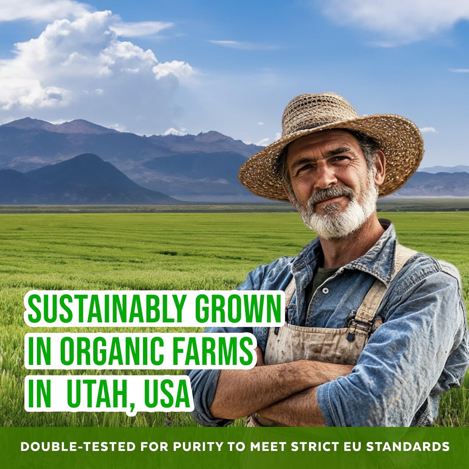 Numami Organic Barley Grass Juice Powder, Grown in USA, Pure Raw and Water Soluble, Add to Your Smoothie or Drink as a Juice