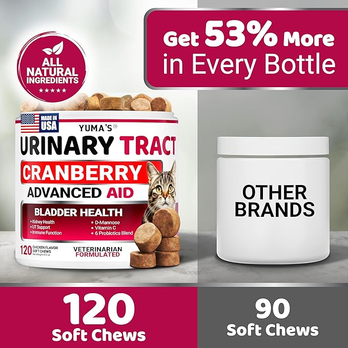 Cat Urinary Tract Health - Cranberry Supplement for Cats - Promotes Healthy Digestion & Normal Bladder Function - Probiotics - Vitamins and Food Supplements - Immune & Multivitamin Support Chews