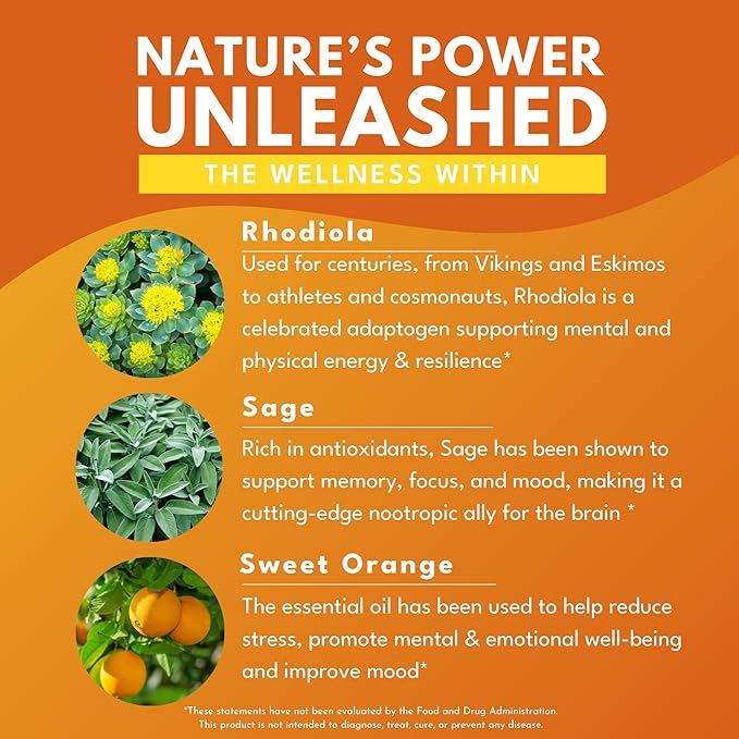 Bold Rhodiola Plus- Siberian Rhodiola Rosea Extract- 3% Rosavins, 1% Salidroside- Adaptogen Supplement for Stress, Memory, Focus, & Energy Support- 30 Vegan Capsules