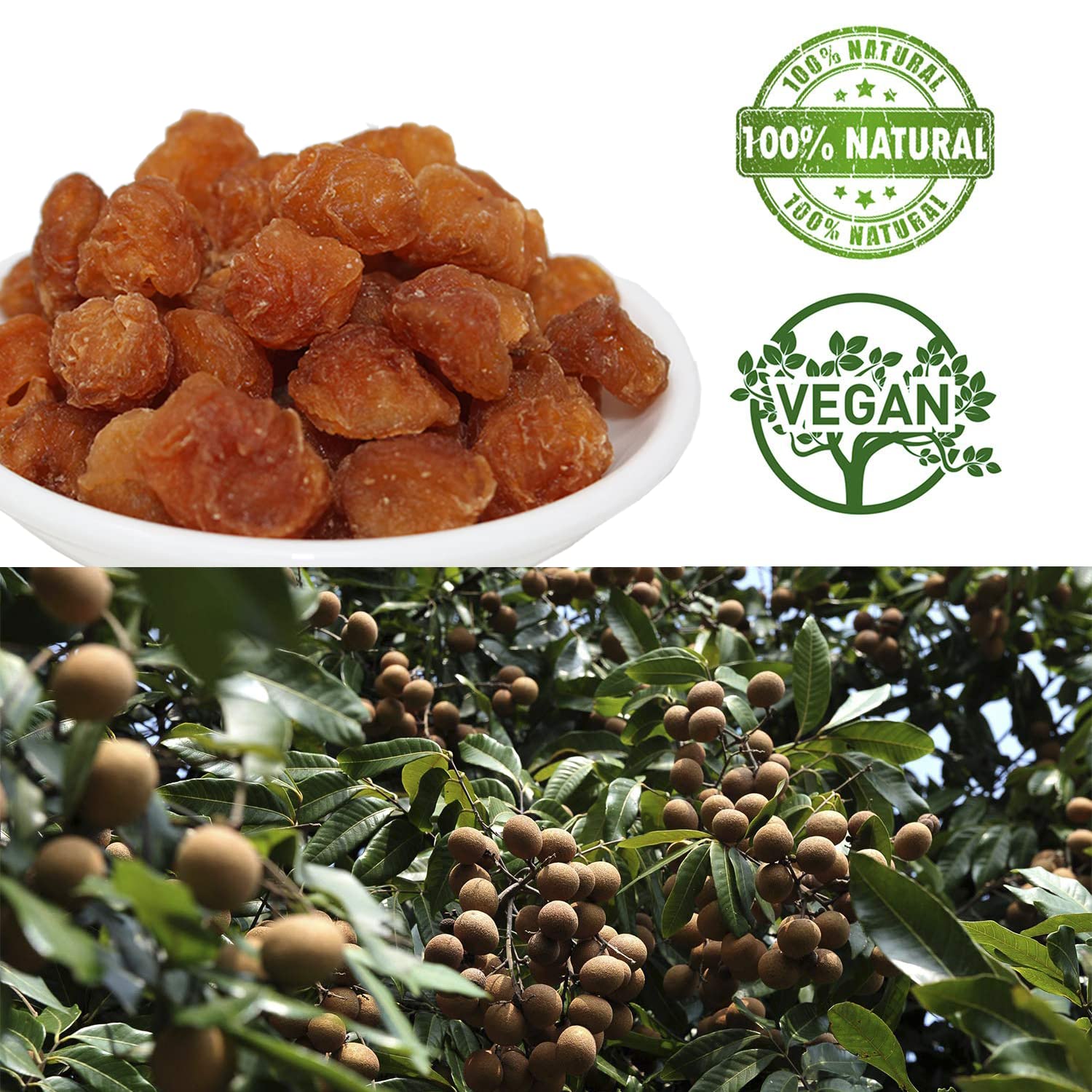3 Pounds Natural Dried Longan, DABC OAK LAND 100% Fruit Meat, Premium Thailand Sun Dried Longan, Naturally Sweet, Healthy, Gluten-Free, Vegan, High in Vitamins, Dried Fruit Supplement 3bags of 1LB