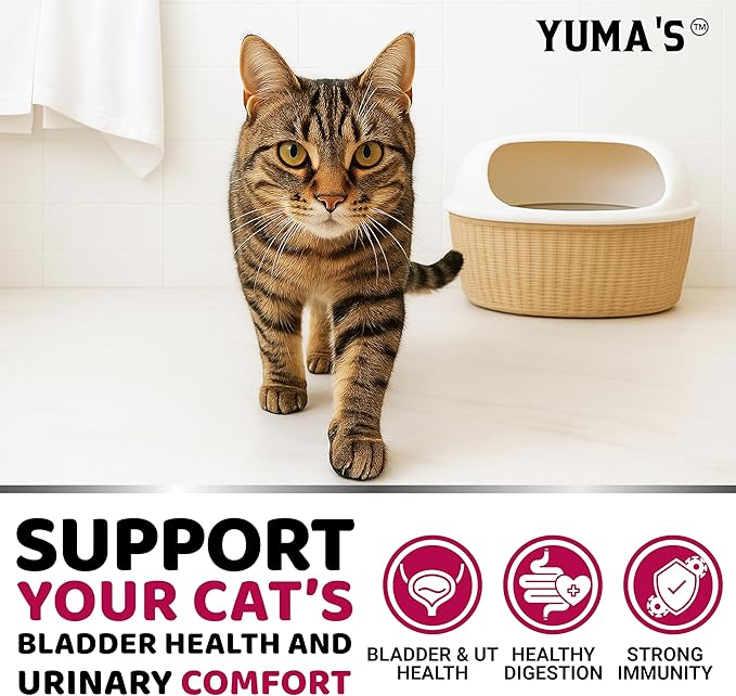 Cat Urinary Tract Health - Cranberry Supplement for Cats - Promotes Healthy Digestion & Normal Bladder Function - Probiotics - Vitamins and Food Supplements - Immune & Multivitamin Support Chews