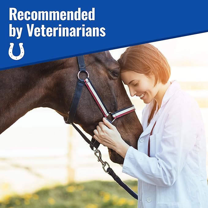 Om Mushroom Matrix - Equine | Wellbeing | USA Grown Human-Grade Organic Mushroom Powder Show Safe Horse Supplement | Wellness, Recovery, & Senior Support | 300 Grams, 10.5 oz