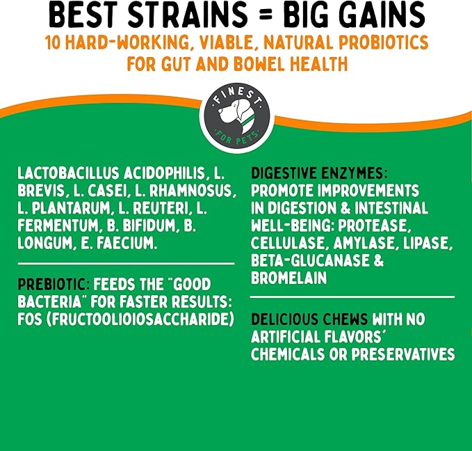 TummyWorks Probiotics for Dogs. 120 Probiotic Soft Chews for Digestive Health, Gut, Immunity, Energy, Allergies, Skin & Coat. 10 Strains, 5 Billion CFUs with 6 Enzymes. Made in USA