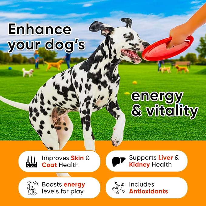 24-in-1 Dog Multivitamin with Glucosamine - Chewable Dog Vitamins and Supplements for Hip & Joints - Ideal for Immune Support and Digestive Health - Best for Senior Dogs and Puppies’ Skin & Heart