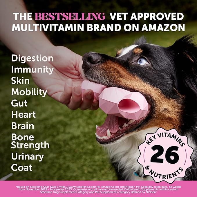 Multivitamin Dog Supplement - Glucosamine Chondroitin for Dogs, Probiotics, Omega Fish Oil, Dog Supplements & Vitamins, Vitamins for Skin and Coat Allergies, (Peanut Butter 90 ct)