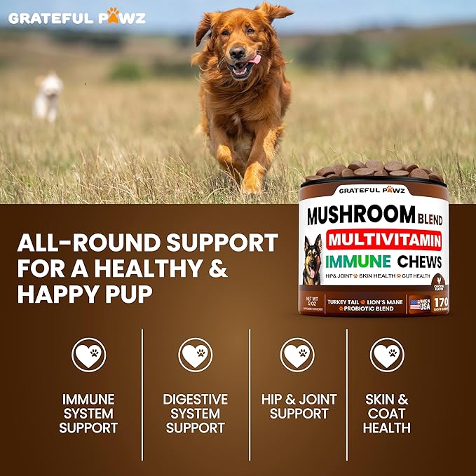Turkey Tail Mushroom Supplement for Dogs - 170 Chews - Mushrooms for Dogs - Reishi, Lion’s Mane, Glucosamine Multivitamin - Immune Booster, Gut, Hip & Joint Health Support Vitamins, Energy & Skin