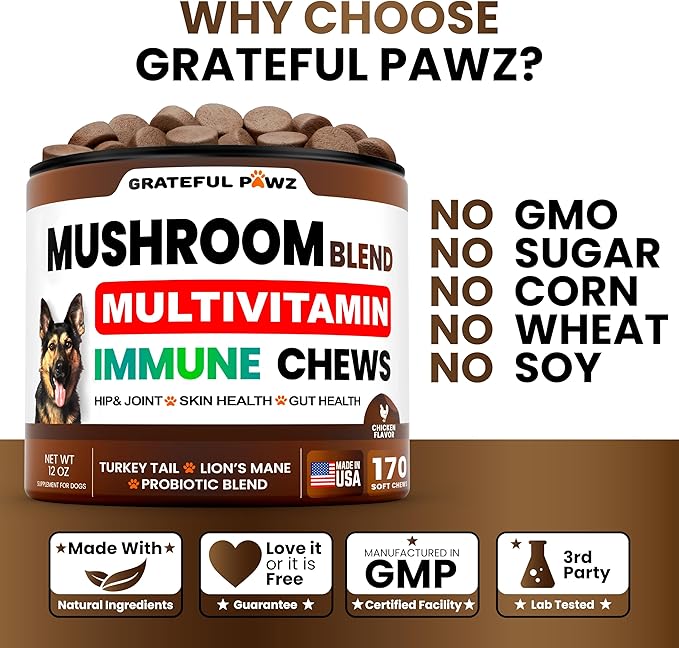 Turkey Tail Mushroom Supplement for Dogs - 170 Chews - Mushrooms for Dogs - Reishi, Lion’s Mane, Glucosamine Multivitamin - Immune Booster, Gut, Hip & Joint Health Support Vitamins, Energy & Skin