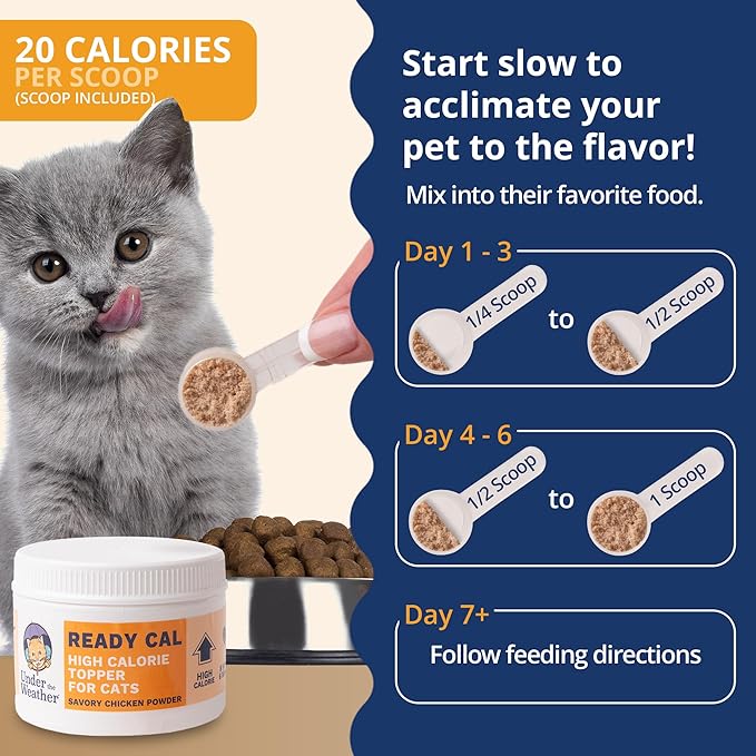 Under the Weather Ready Cal Powder for Cats | High-Calorie Weight Gainer & Appetite Stimulant | Cat Energy Booster Veterinarian-Approved Pet Supplement with Vitamins & Minerals | Chicken Flavor