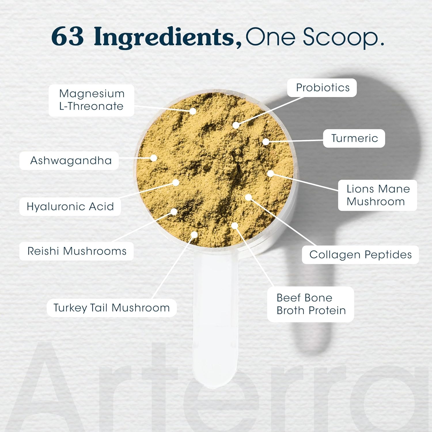 Senior Dog Powder Supplement & Food Topper – 63 Ingredients for Joint, Gut, Immune & Brain Health – Daily Longevity Multivitamin with Glucosamine, Probiotics, and Fish Oil | 60 Scoops