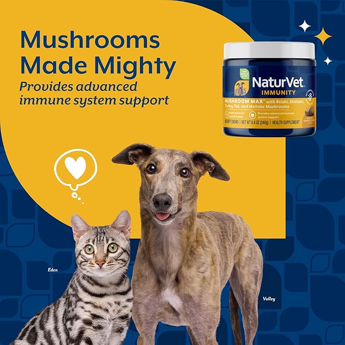 NaturVet Mushroom Max Advanced Immune Support Dog Supplement – Helps Strengthen Immunity, Overall Health for Dogs – Includes Shitake Mushrooms, Reishi, Turkey Tail – 60 Ct.