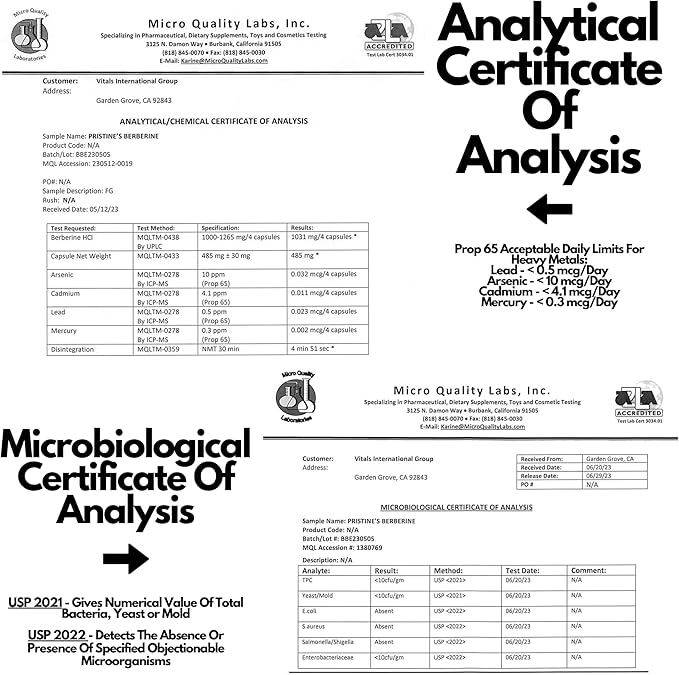 PRISTINE'S Berberine Supplement Capsules - 1000 MG 75 Day Supply 150 Capsules - Heart, & Immunity Health Support Antioxidant - Digestive Tract & Healthy Gut Flora Support