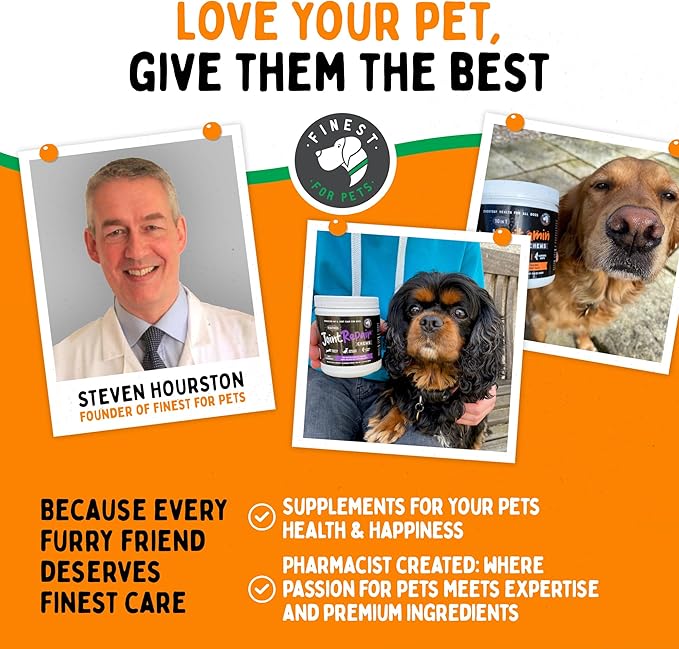 TummyWorks Probiotics for Dogs. 120 Probiotic Soft Chews for Digestive Health, Gut, Immunity, Energy, Allergies, Skin & Coat. 10 Strains, 5 Billion CFUs with 6 Enzymes. Made in USA