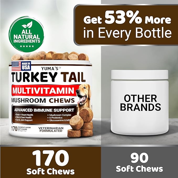 Turkey Tail Mushroom for Dogs - 170 Count - Mushroom Chews for Dogs Lipoma Lumps and Bumps - Immune Health, Digestive, Skin, Energy, Joint Vitamin Support Guard Buddy - Multivitamin Supplement
