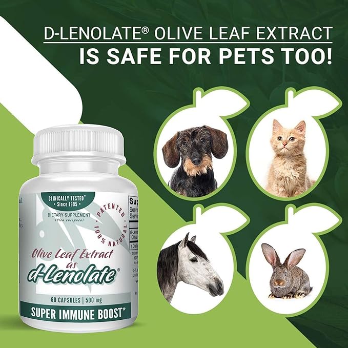 East Park Olive Leaf Extract (OLE) Super Strength d-Lenolate 500mg | 18% or More Oleuropein Immune System Booster | 60 Vegetarian Capsules (Non-GMO)