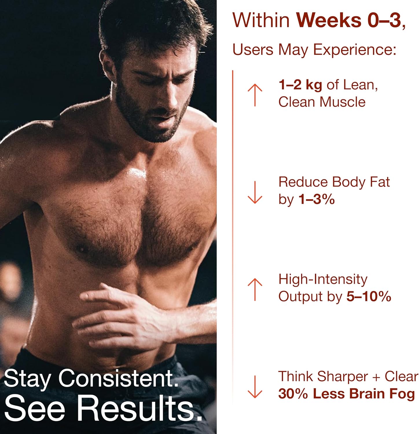 Bear Balanced Creatine Gummies for Men & Women - Creapure® Creatine Monohydrate, L-Theanine, L-Tyrosine & B12 for Muscle Growth, Strength, Focus, Energy & Health - Low Calorie, Sugar-Free, & Vegan