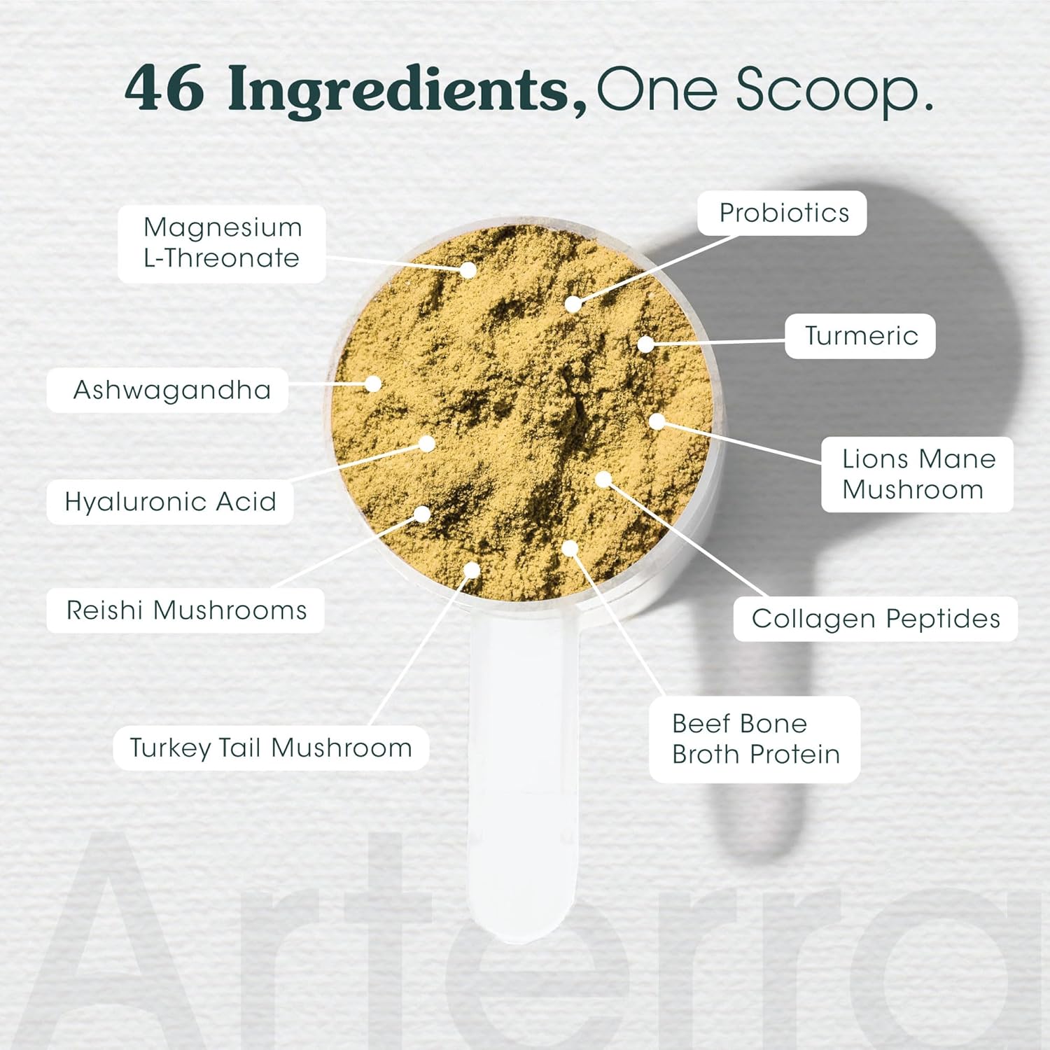 Adult Dog Powder Supplement & Food Topper – 46 Ingredients for Gut, Immune & Brain Health – Daily Longevity Multivitamin for Whole Body Wellness | 30 Scoops