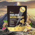 VivoNu Shilajit for Men & Women Gummies | 4000mg High Potency 10-in-1 Formula with Pure Himalayan Shilajit, Ashwagandha, and 75% Fulvic Acid | Sugar-Free Vegan, 85+ Trace Minerals