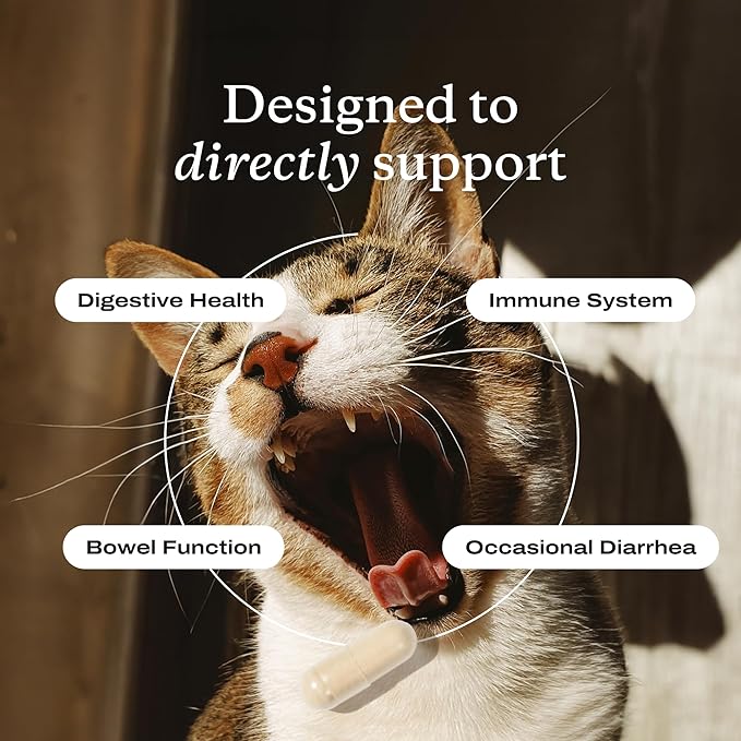 PetLab Co. Probiotics for Cats