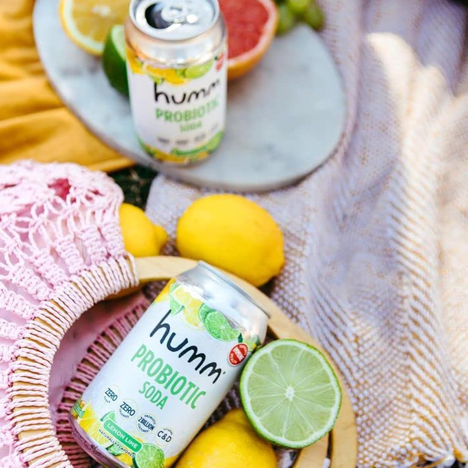 Humm Sparkling Probiotic Lemon Lime Soda, Zero Sugar, Zero Calorie, 2 Billion Probiotics, Vitamin C, D, and B12, 12 fl oz (Pack of 12)