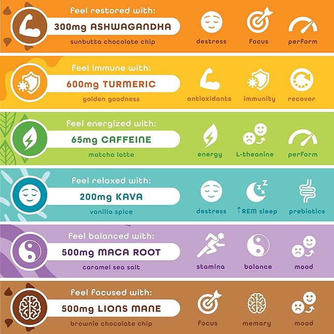 Feel Vegan Protein Bars, Variety Pack, Adaptogenic Snack, Keto, Gluten Free, Organic, 15g Protein, Low Carb, Dairy Free, 6 Flavors, Non GMO, Soy Free, Grain Free – 6 Pack