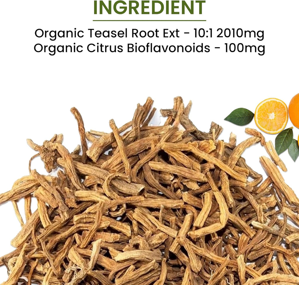 Green Organic Supplements' Lyme Disease, Teasel Root (Pack of 4)