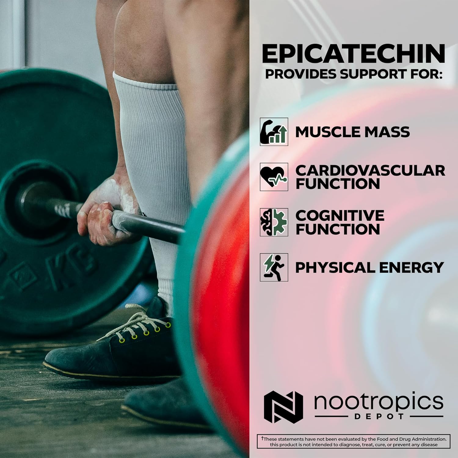 Nootropics Depot Epicatechin Tablets | 200mg (−)−Epicatechin + 6mg Piperine for Bioavailability | Green Tea Extract | Promotes Muscle Mass, Cardiovascular Health, and Energy | 30 Count