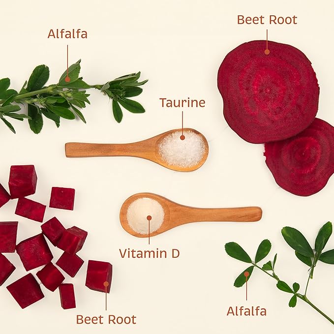 Spirited Paw Health + Vitality - Joint Health & Immune System Support - Healthy Heart & Coat Support - Multivitamin Pet Wellness Supplement - Liver-Flavored Dog Chews - 90 Chewable Wafers