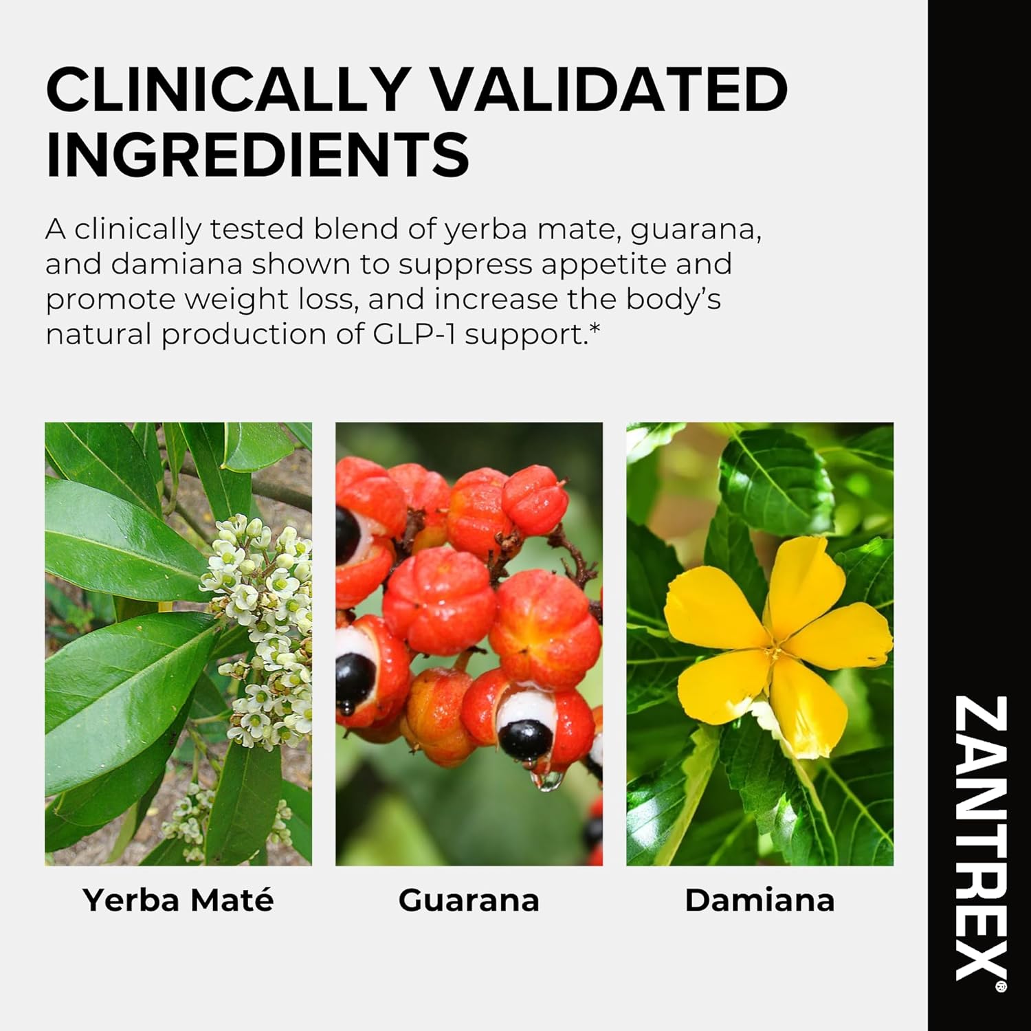 Zantrex Black – Naturally Boost GLP-1 & Metabolism Support | Appetite Suppressant, Thermogenic Energy, Weight Loss Formula | 84 Pills