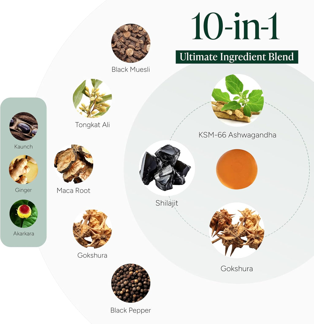 10-in-1 Alpha Shilajit Gummies | 4000 mg Pure Himalayan Shilajit, Tongkat Ali, Maca Root, 75% Fulvic Acid | ShilAbsorb Bioavailability Tech | Sugar-Free Vegan, 85+ Trace Minerals | 60 Pack