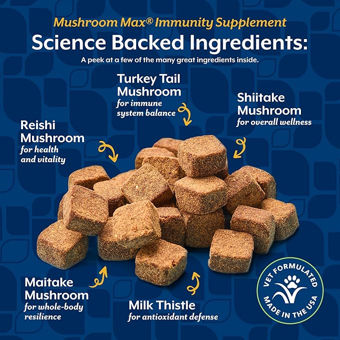 NaturVet Mushroom Max Advanced Immune Support Dog Supplement – Helps Strengthen Immunity, Overall Health for Dogs – Includes Shitake Mushrooms, Reishi, Turkey Tail – 60 Ct.