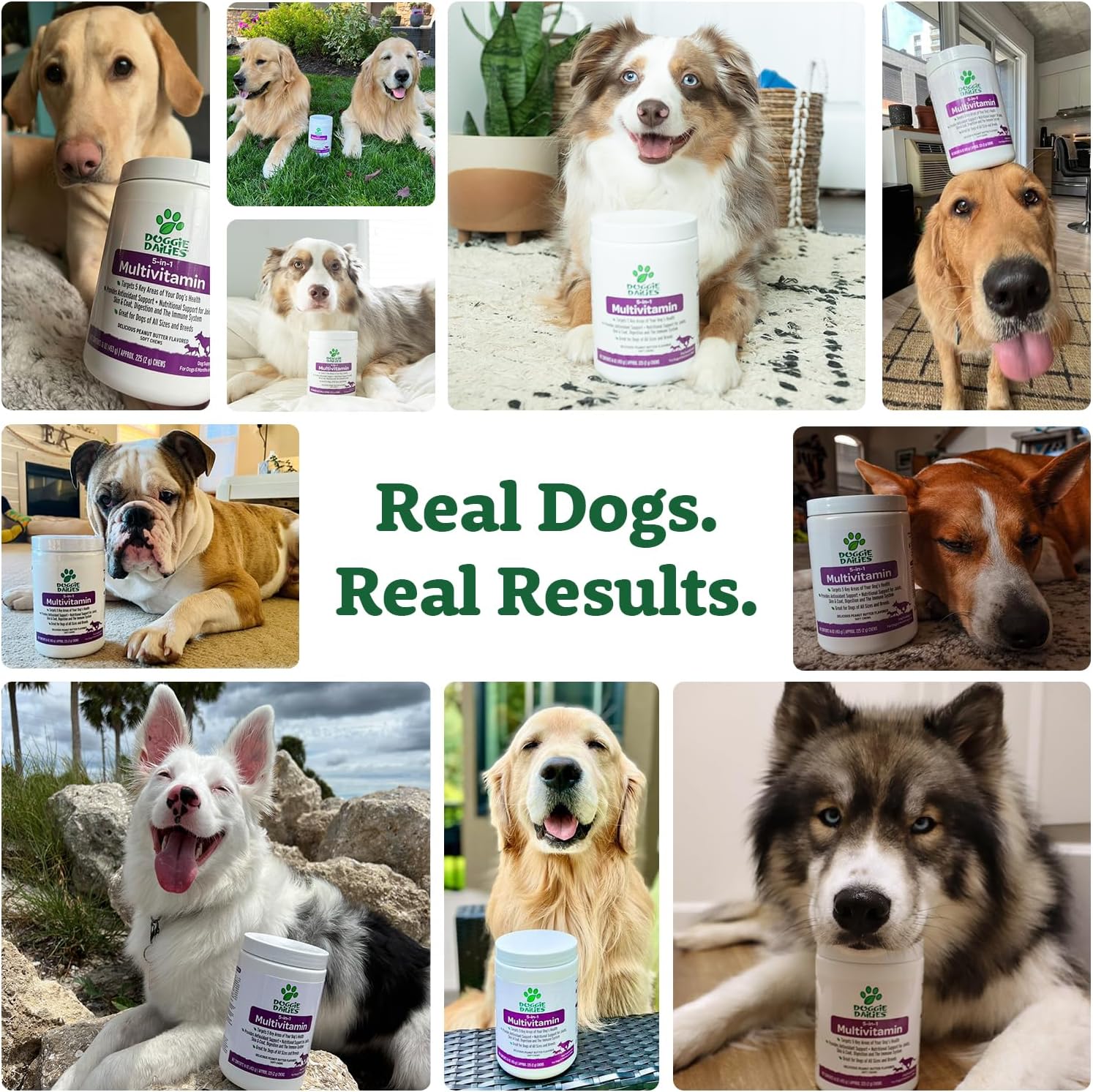 Doggie Dailies 5 in 1 Multivitamin for Dogs, Dog Multivitamin for Skin and Coat Health, Joint Health, Improved Digestion, Antioxidants, Support a Healthy Immune System (Peanut Butter) 225 Soft Chews