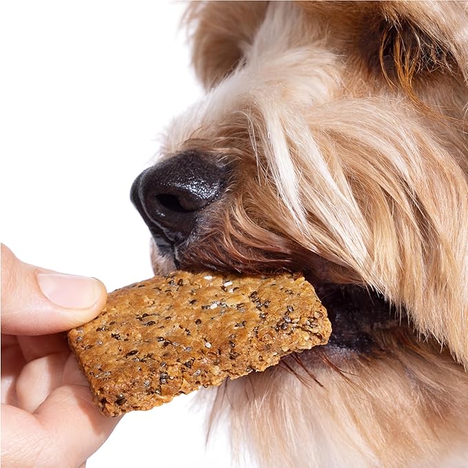 MAEV Human-Grade Weight & Digestion Supplement Bars | Natural Support for Healthy Weight Management & Digestive Support, 30 Count (Pack of 2)