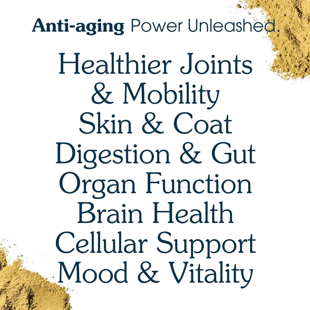 Senior Dog Powder Supplement & Food Topper – 63 Ingredients for Joint, Gut, Immune & Brain Health – Daily Longevity Multivitamin with Glucosamine, Probiotics, and Fish Oil | 120 Scoops