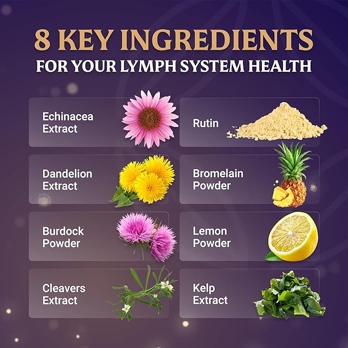 EVERFAITH LymphaFlo - Lymphatic Drainage Supplement - Lymph System Support - with Bromelain, Echinacea, Dandelion, Burdock Root, Lemon Powder & More - Vegetarian, Gluten Free, Non-GMO - 60 Capsules