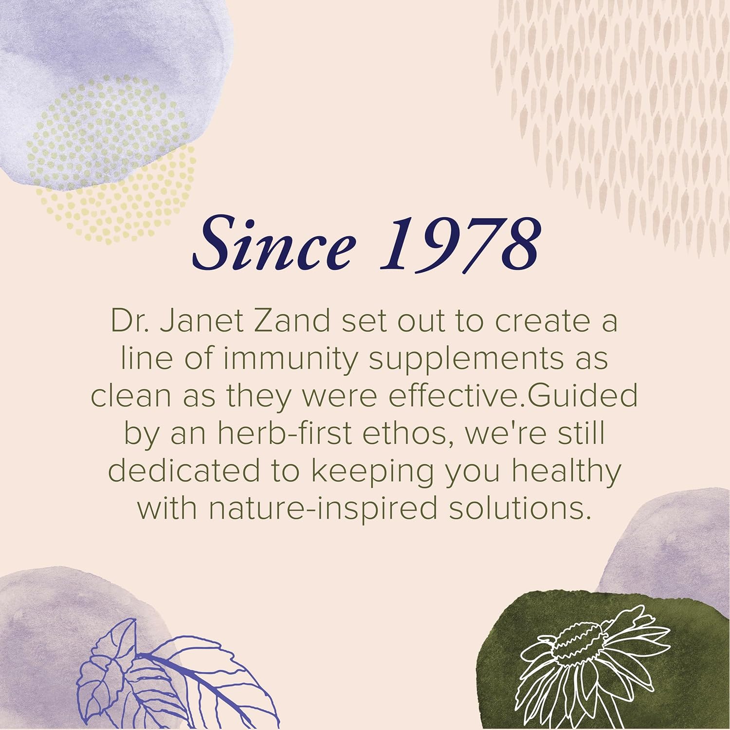 ZAND Immunity Elderberry Zinc Throat Lozenges 2-Pack - Good-for-You Dry Mouth Lozenges, Immune Support Supplement with Elderberry, Zinc 5mg - Soothe a Dry Throat, Natural Flavor, Gluten Free, 50ct ea